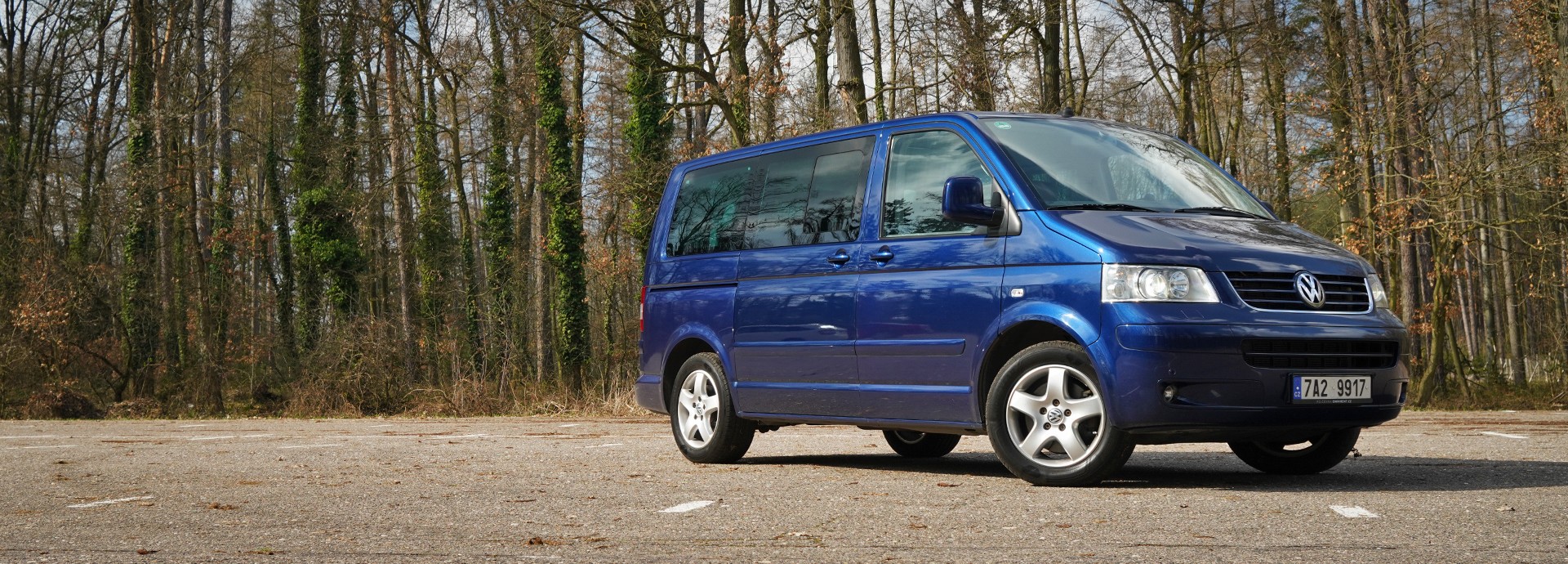 Volkswagen Multivan 4x4 T5